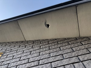軒天に穴を発見