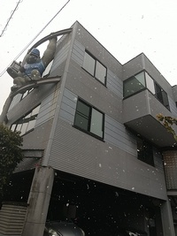 雪が降りました。