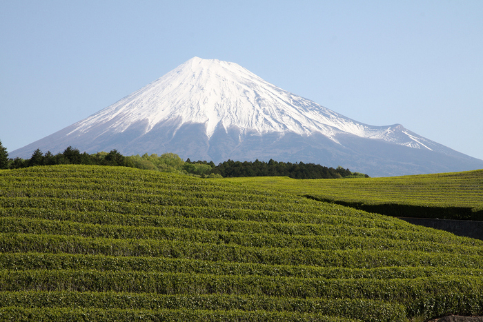 冬の富士山